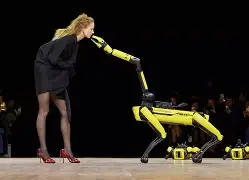 网页版入口-不莱梅战绩赛程