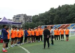 C7游戏平台-教练技法提升，球队战术布局崭露头角的简单介绍